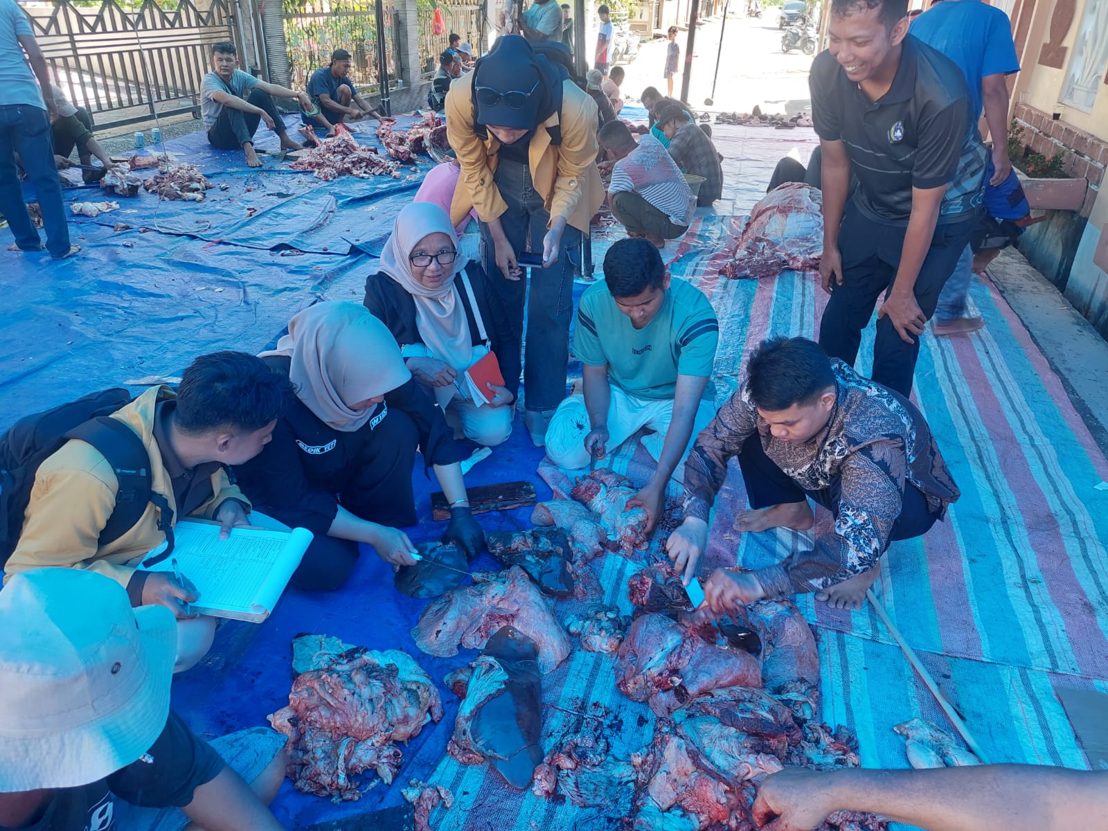 Jamin Aspek Higienis, Tim Teknis Kota Solok Periksa Ratusan Sapi dan Kambing Sebelum Disembelih