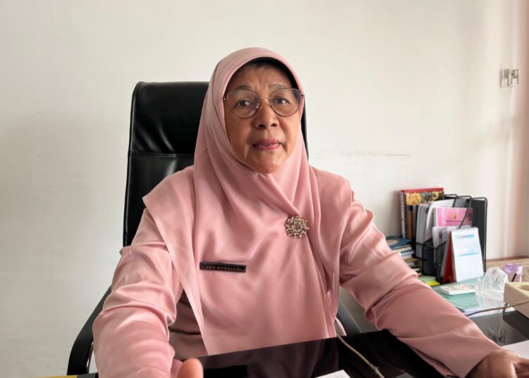 Kota Solok Raih Peringkat 5 Nasional dalam Indeks Ketahanan Pangan 2025