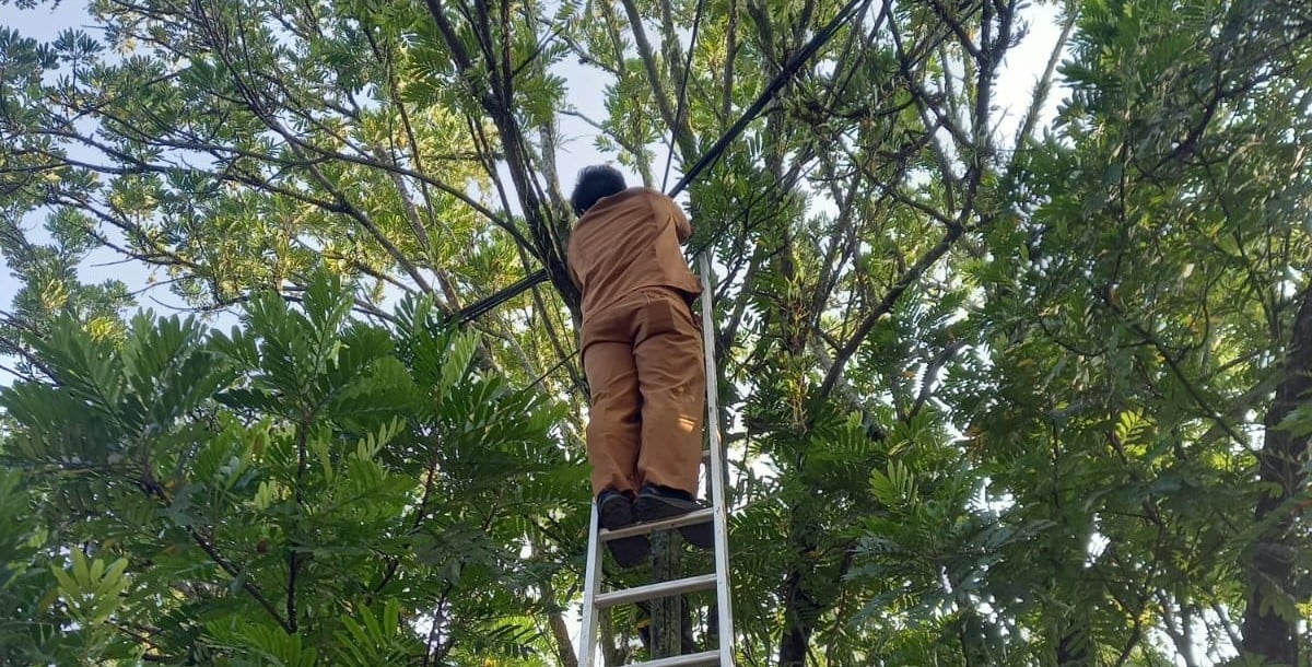 Jaga Stabilitas Layanan Digital, Diskominfo Kota Solok Lakukan Pemeliharaan Jaringan Fiber Optik