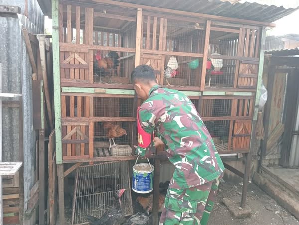 Babinsa Kodim 0309/Solok Beri Contoh Warga dalam Pemanfaatkan Pekarangan