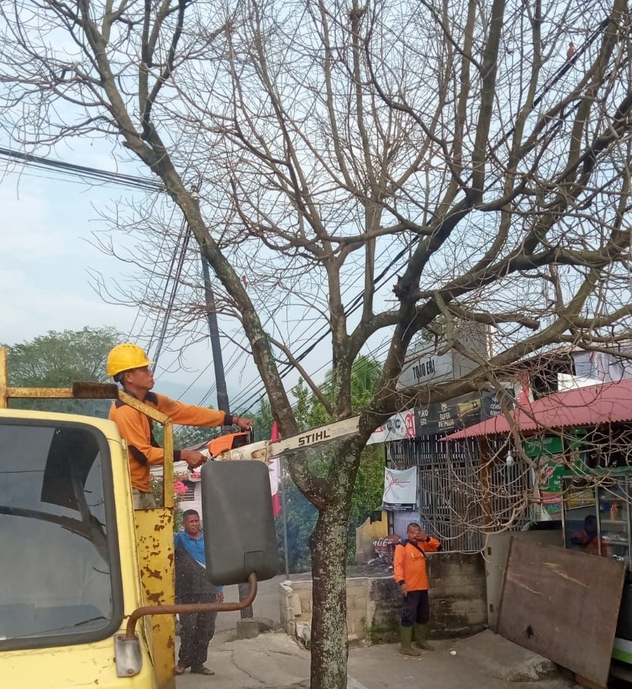 Merusak Kerapian, DLH Tebang Pohon Mati di Simpang Gawan