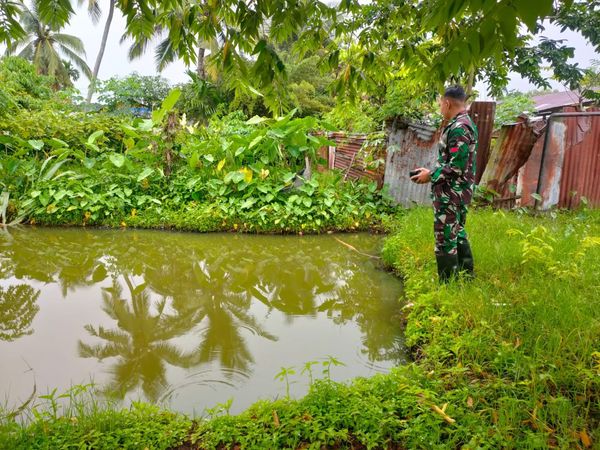 Babinsa Solok Lakukan Perawatan dan Pemberian Pakan Ikan Nila