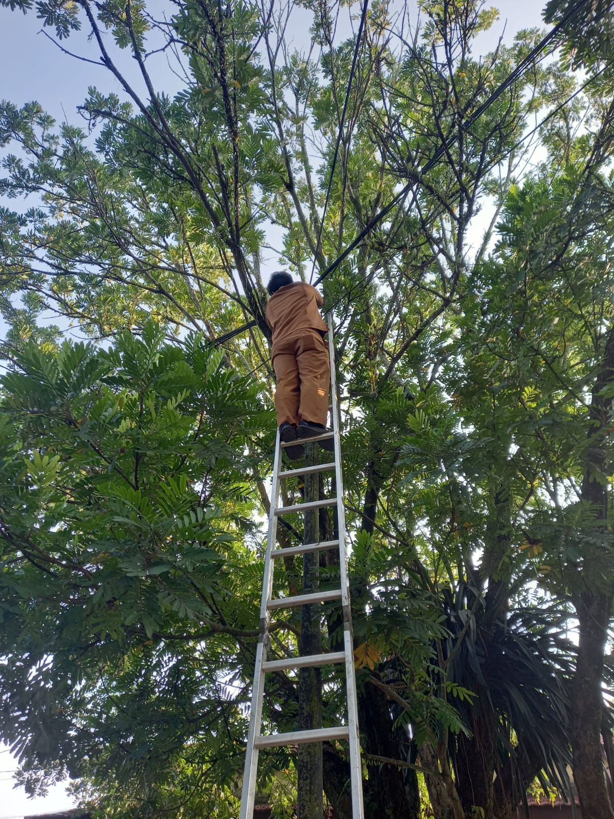 Jaga Stabilitas Layanan Digital, Diskominfo Kota Solok Lakukan Pemeliharaan Jaringan Fiber Optik