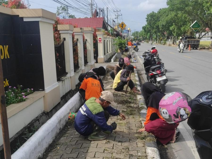 Mulai Tak Sedap Dipandang, DLH Bersihkan Rumput di Sepanjang Jalan Lubuk Sikarah