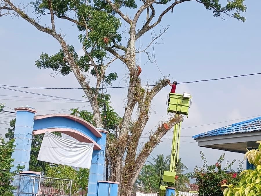 Pemangkasan Pohon Rapuh di SDN 16 Nan Balimo Demi Keselamatan Warga Sekolah