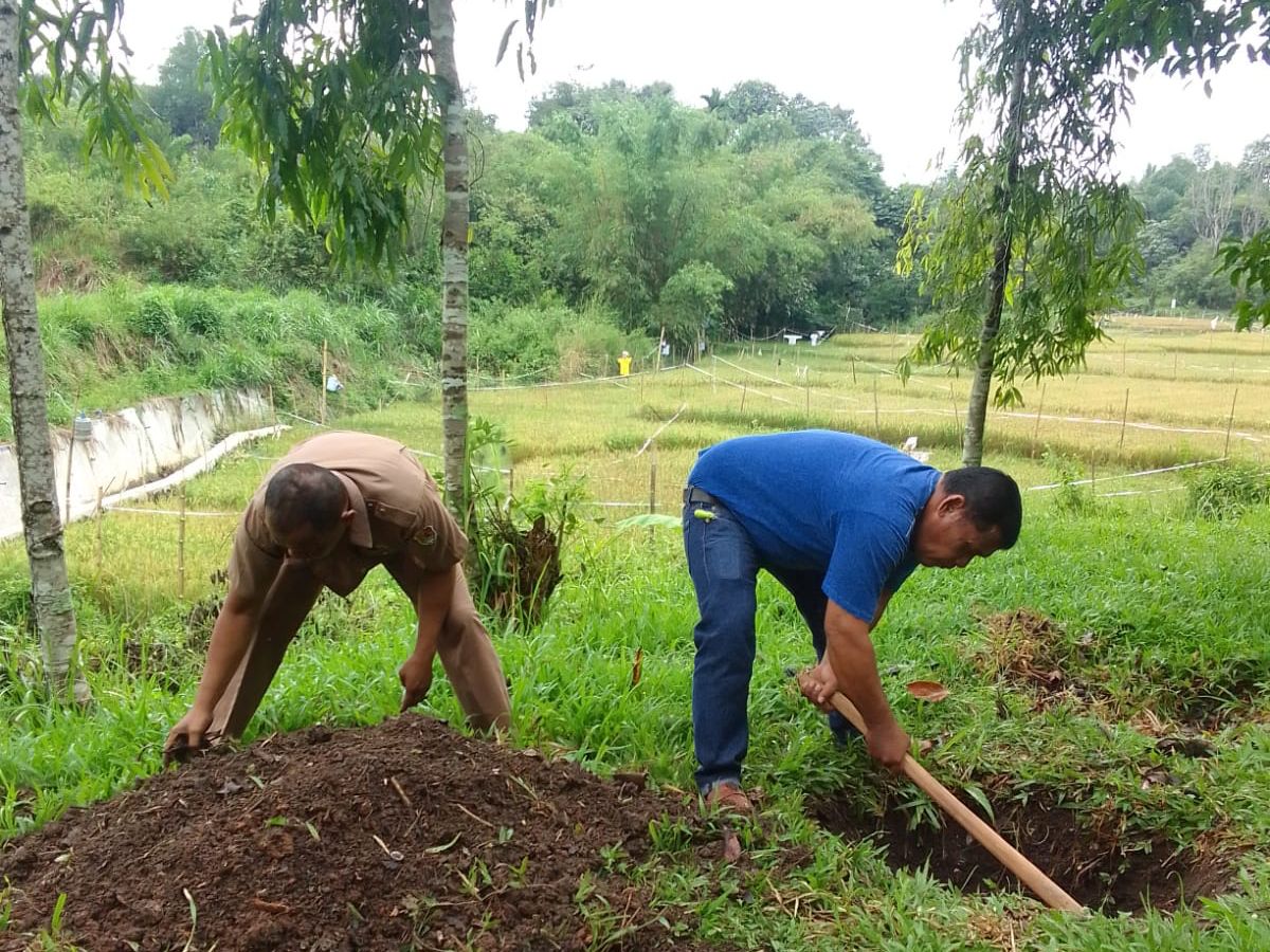 Atasi Sampah Organik dan Banjir, DLH Buat Lubang Biopori 