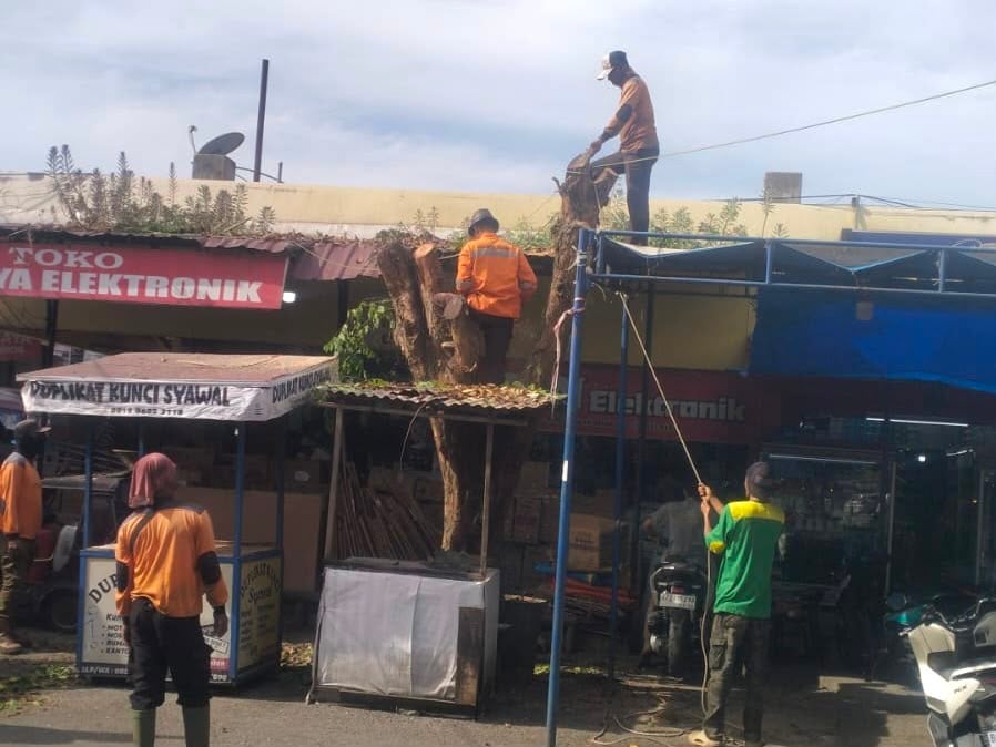 Pemangkasan Pohon Pelindung Dilakukan Selektif Demi Keselamatan Pengguna Jalan