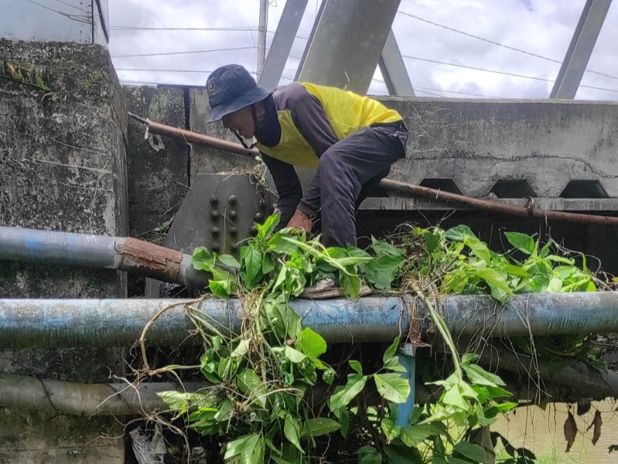 DLH Kota Solok Bersihkan 3 Salter Jembatan di Pusat Kota