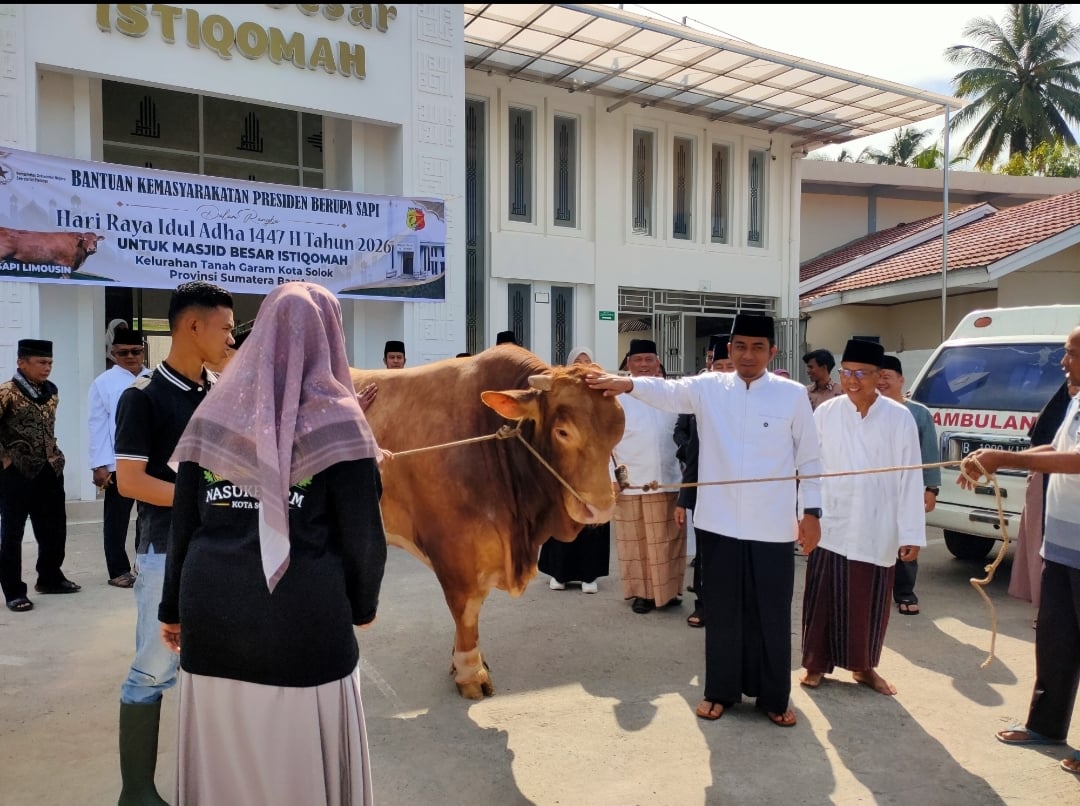 Pemko Solok Terima Sapi Kurban Presiden Hasil Budidaya Peternak Lokal