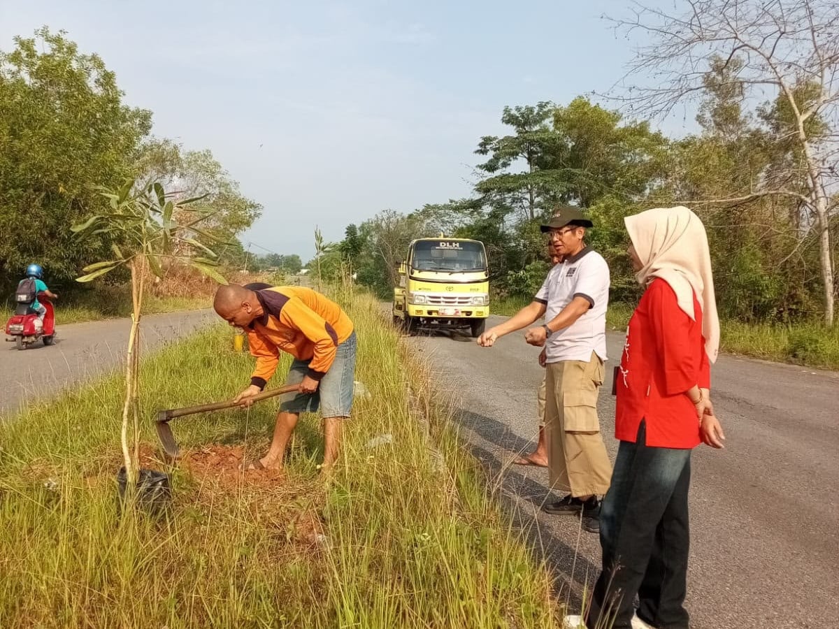 10 Pohon Tabebuya Ditanam Kembali sebagai Pengganti Pohon Pelindung yang Ditebang