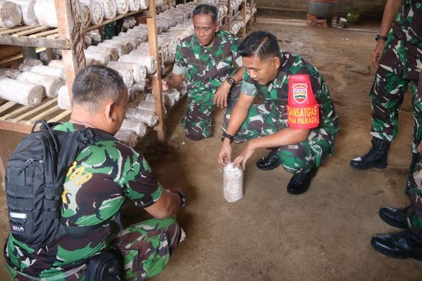 Dandim Solok Lakukan Pengecekan Perkembangan Budidaya Jamur Tiram.